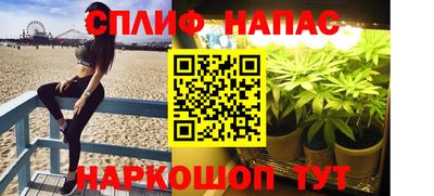 дживик Ливны