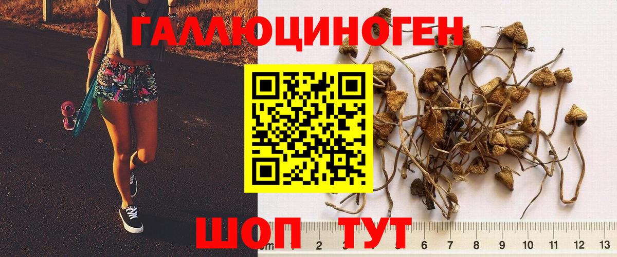 Жуковский  Псилоцибиновые грибы GOLDEN TEACHER  Псилоцибиновые грибы мухоморы  Вход с VPN 